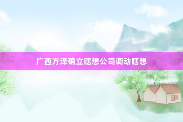 广西方泽确立瞎想公司调动瞎想